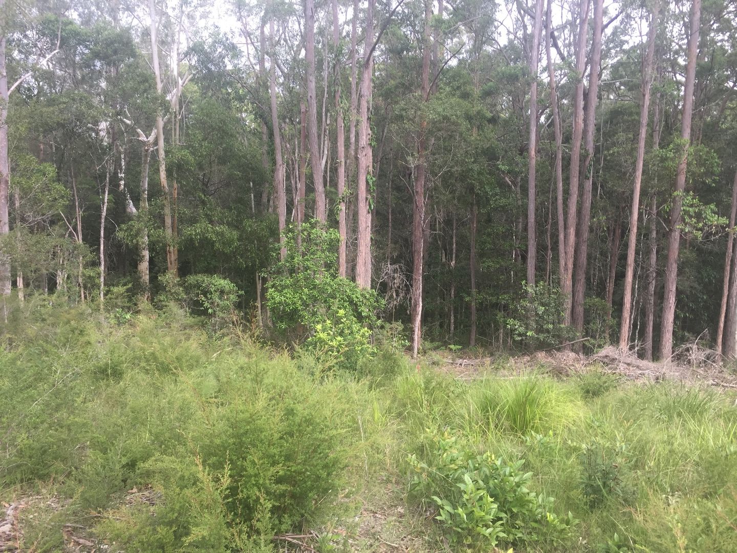 72 Emu Creek Road, Crawford River NSW 2423, Image 1