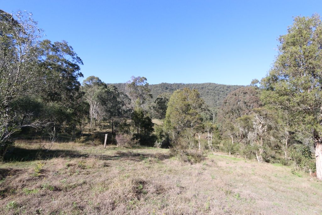 Lot 1 288 Martins Creek Road, Paterson NSW 2421, Image 2