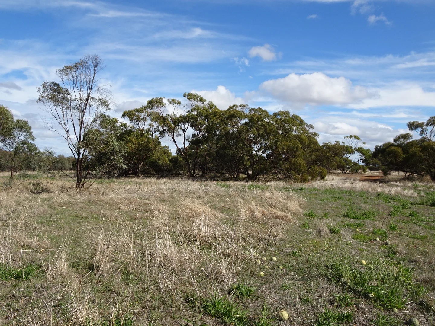 Image 29