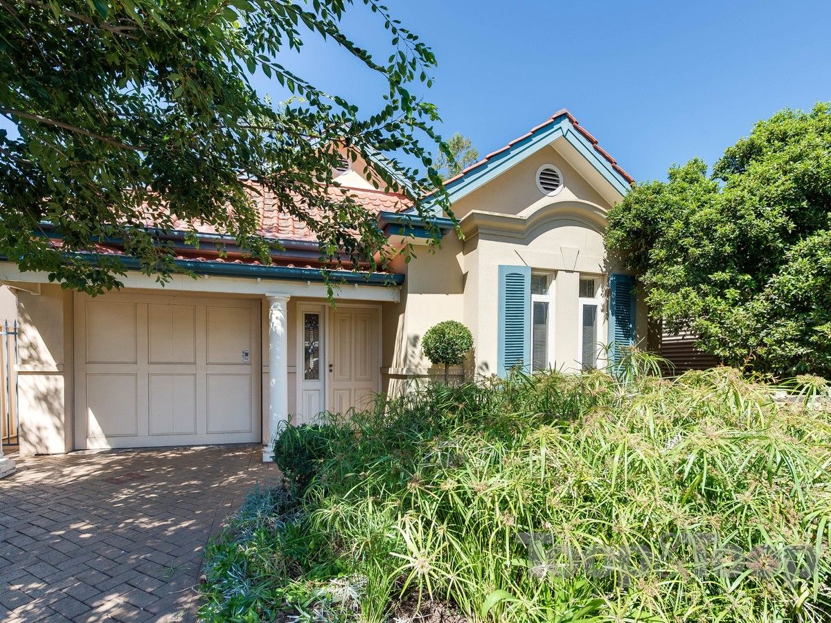 10 Hall Street, Norwood SA 5067, Image 0