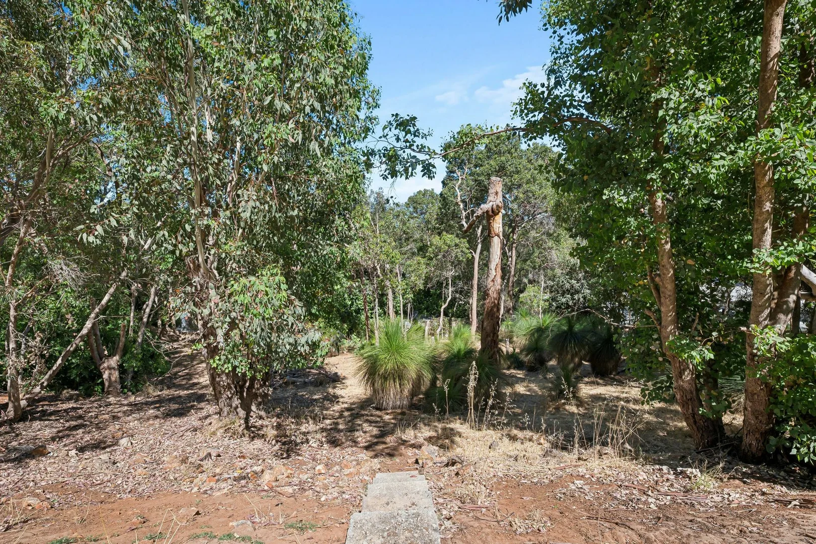 Image 31