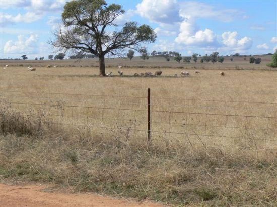 DUNEDOO NSW 2844, Image 2