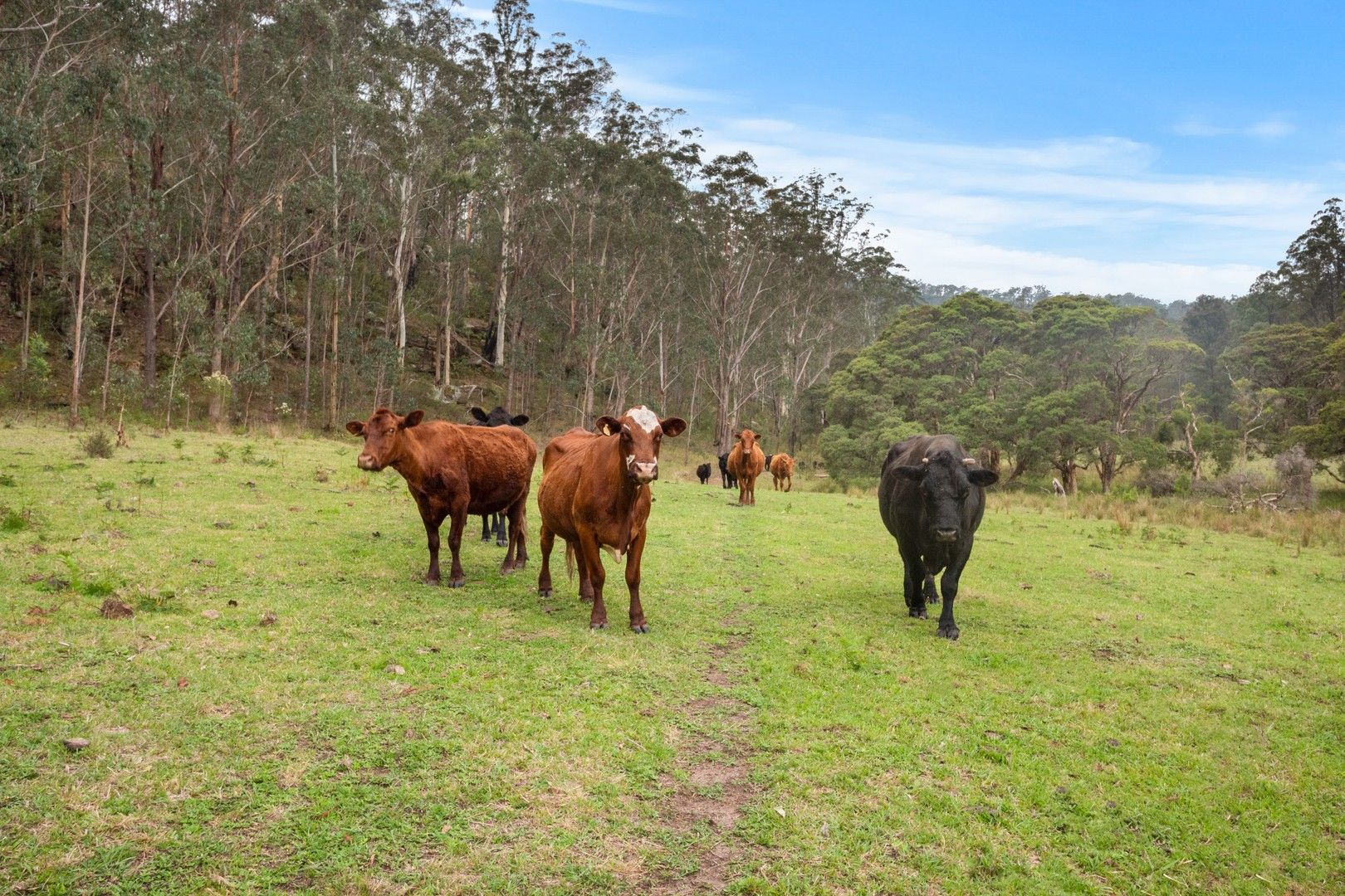 1341A Putty Valley Road, Putty NSW 2330, Image 0