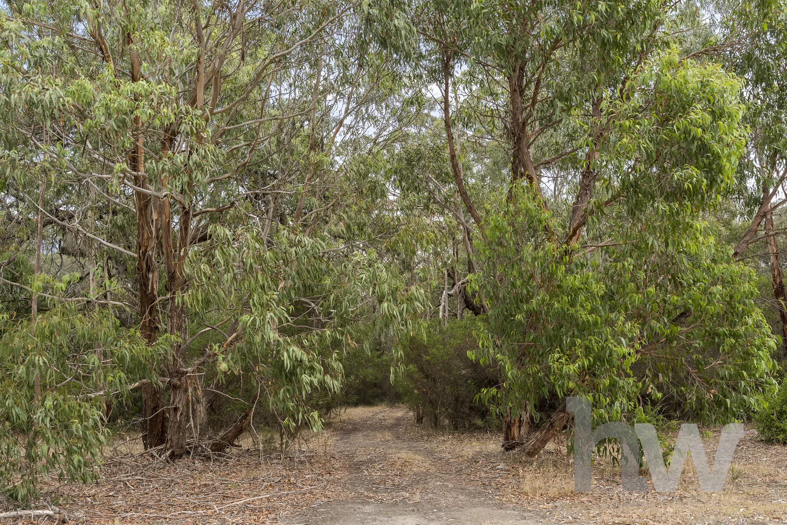 Image 14