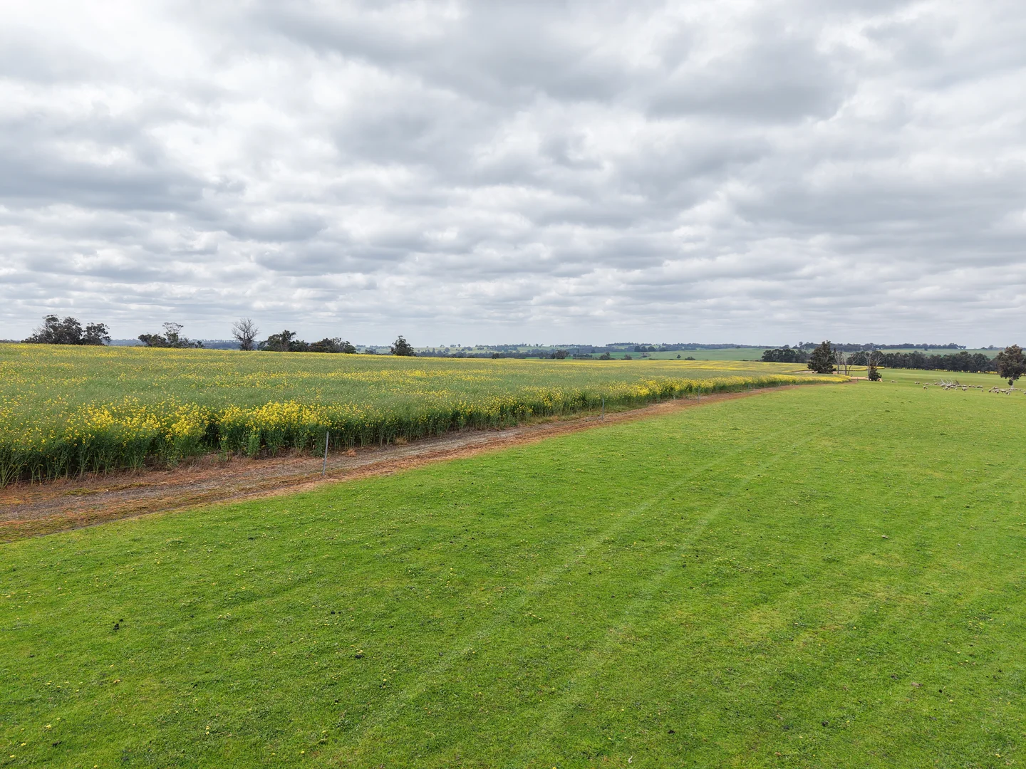 Image 22