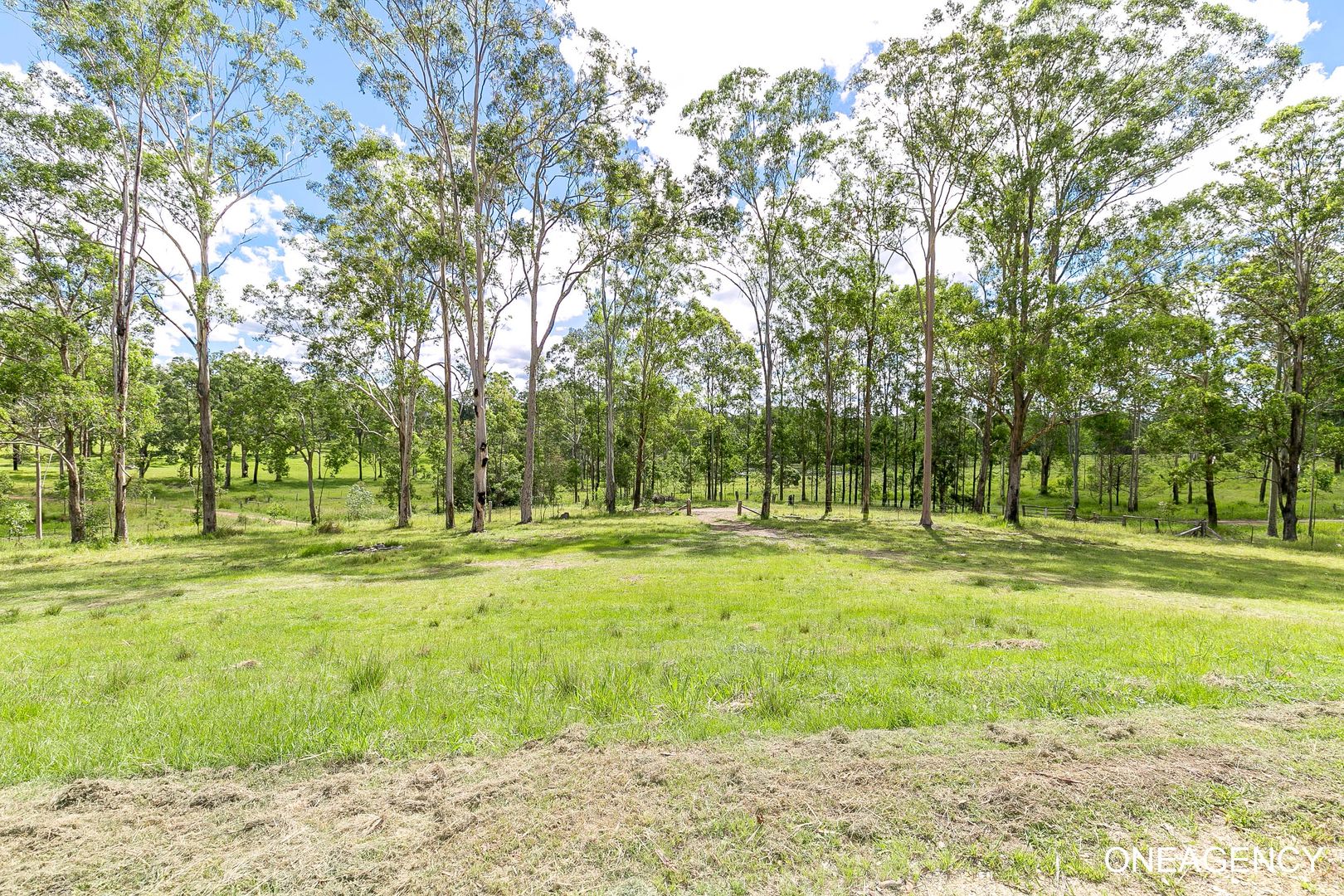 Lot 373 Mines Road, Mungay Creek NSW 2440, Image 1