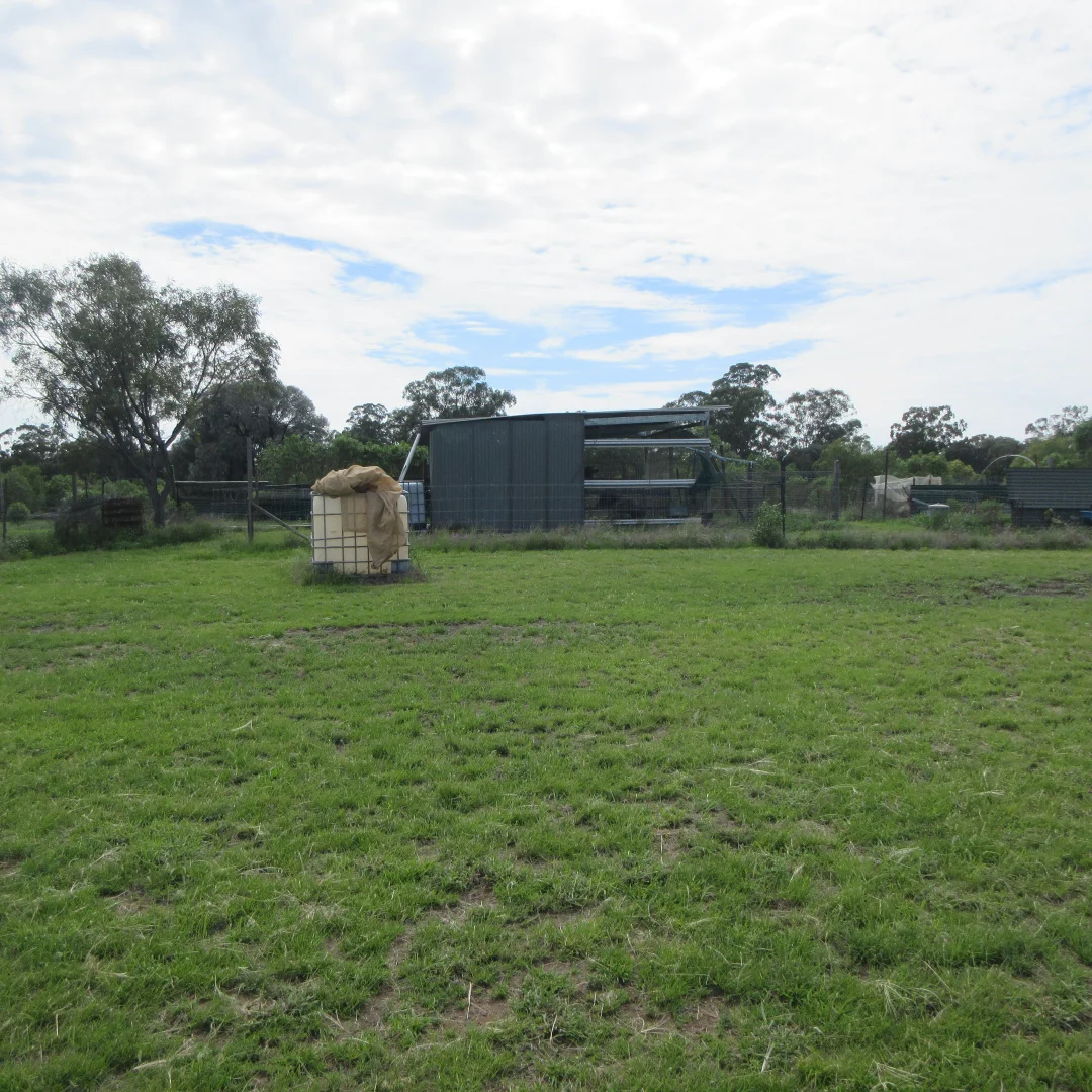 Additional image 14 of Tara QLD 4421