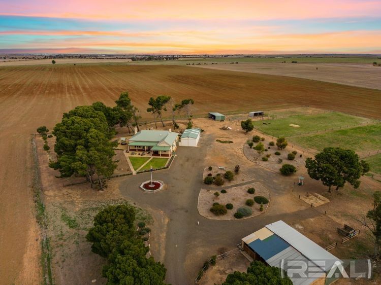 145 Ronan Road, Hamley Bridge SA 5401 House for Sale Domain