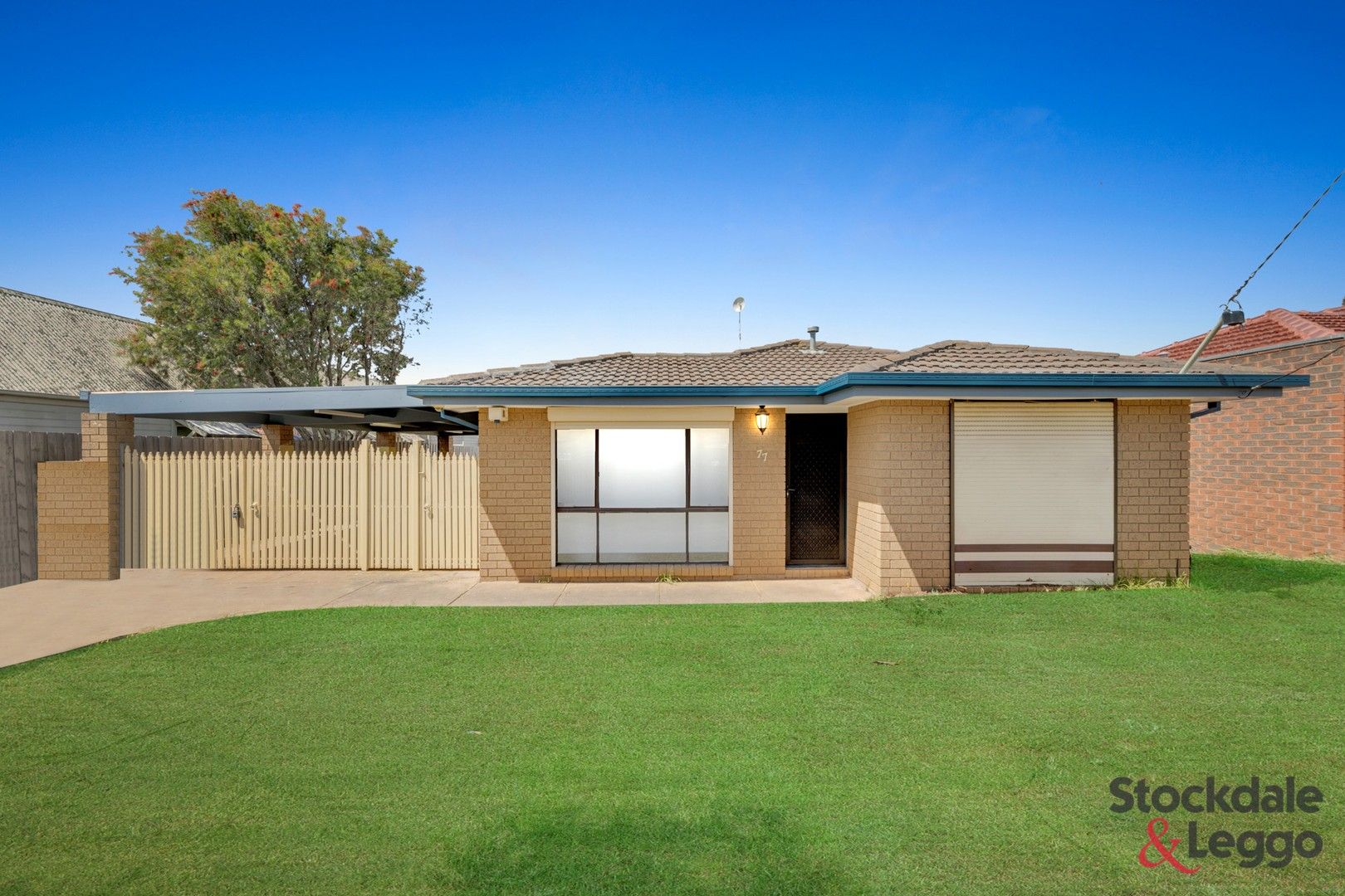 3 bedrooms House in 77 Shane Avenue SEABROOK VIC, 3028