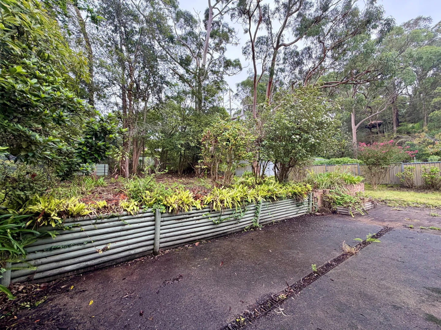 Additional image 15 of 53 Douglas Street, Springwood NSW 2777