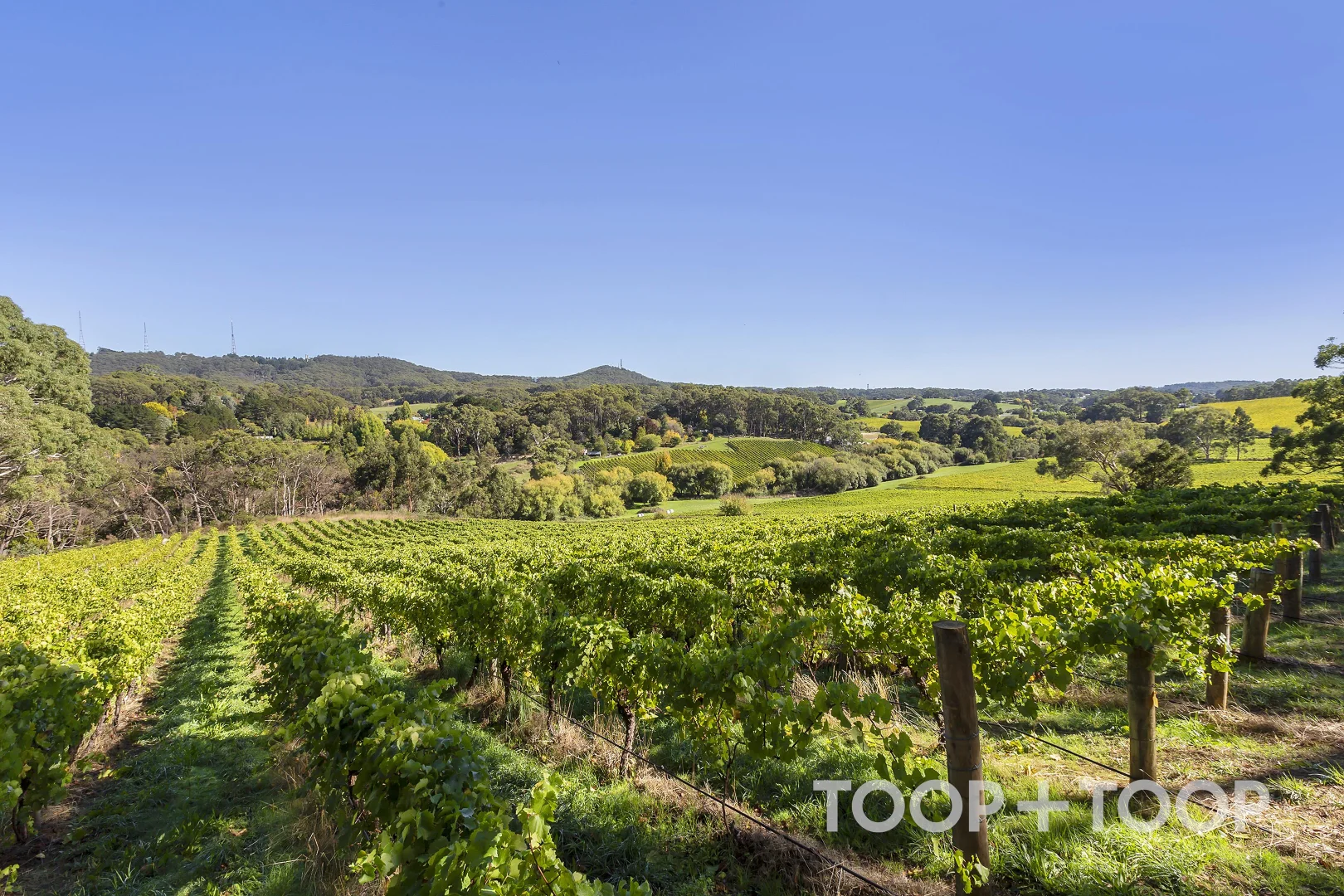 Additional image 11 of 12 Udys Road, Piccadilly SA 5151