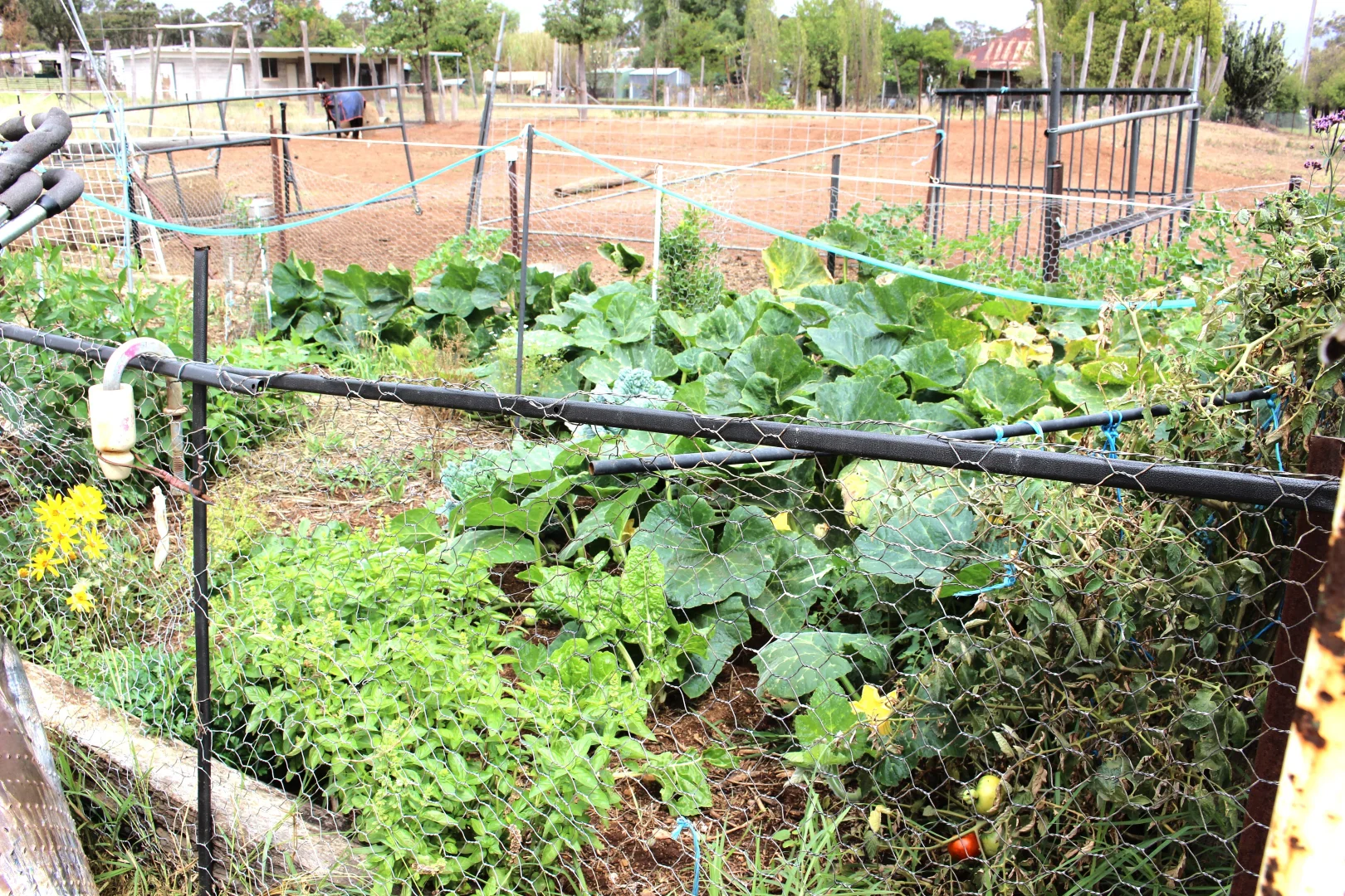 Additional image 5 of 2 Biamble Street, Merrygoen NSW 2831