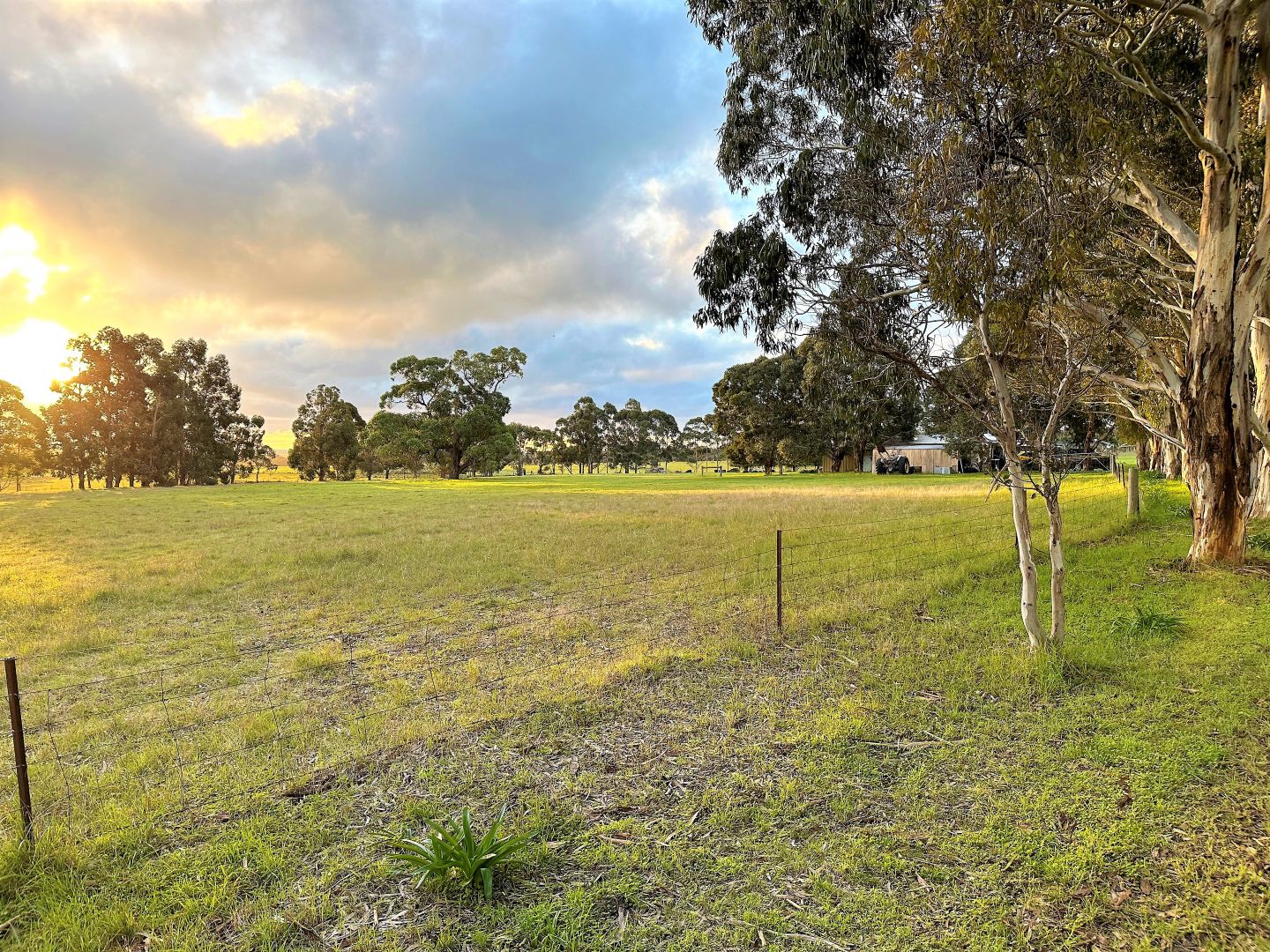 55 Repeater Station Road, Naracoorte SA 5271, Image 2