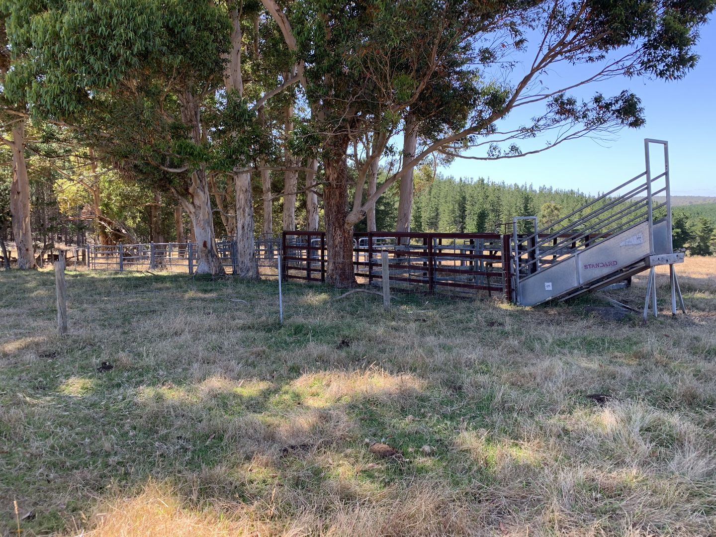 Lot 66 off Wights Road, Wellington Forest WA 6236, Image 2