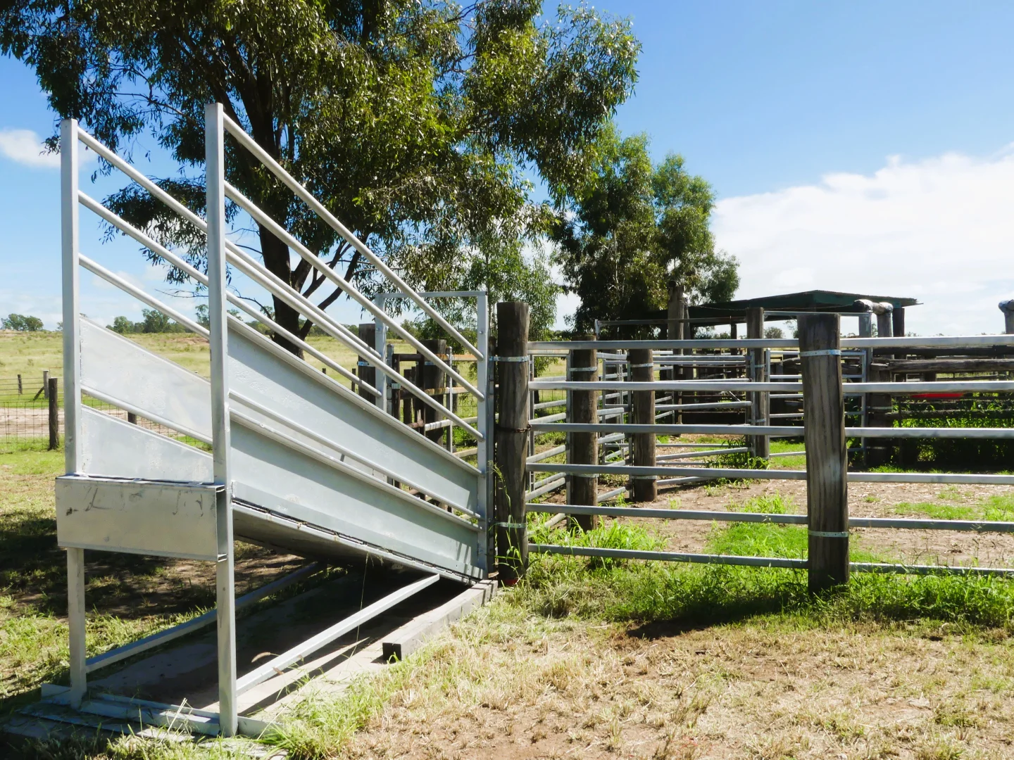 Additional image 29 of 'Langley' 344 Clarke Creek Road, Dulacca QLD 4425