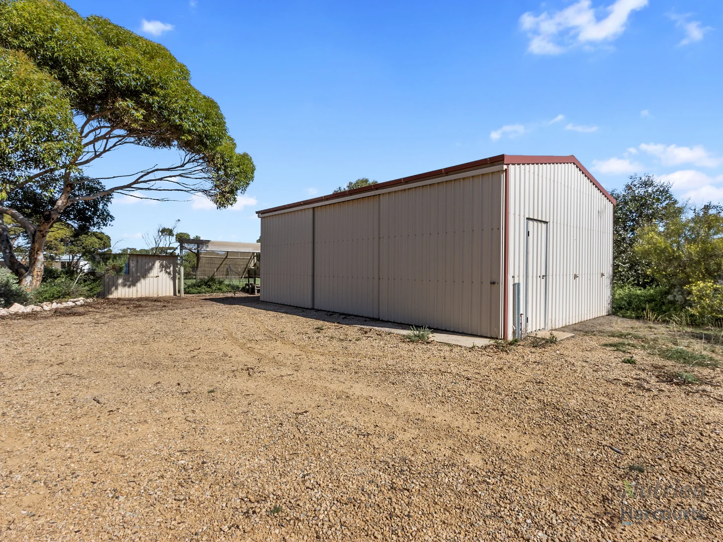Image 19