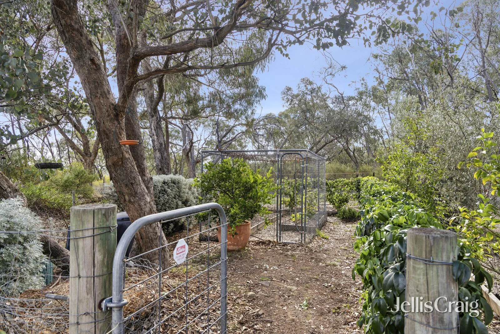 Image 13