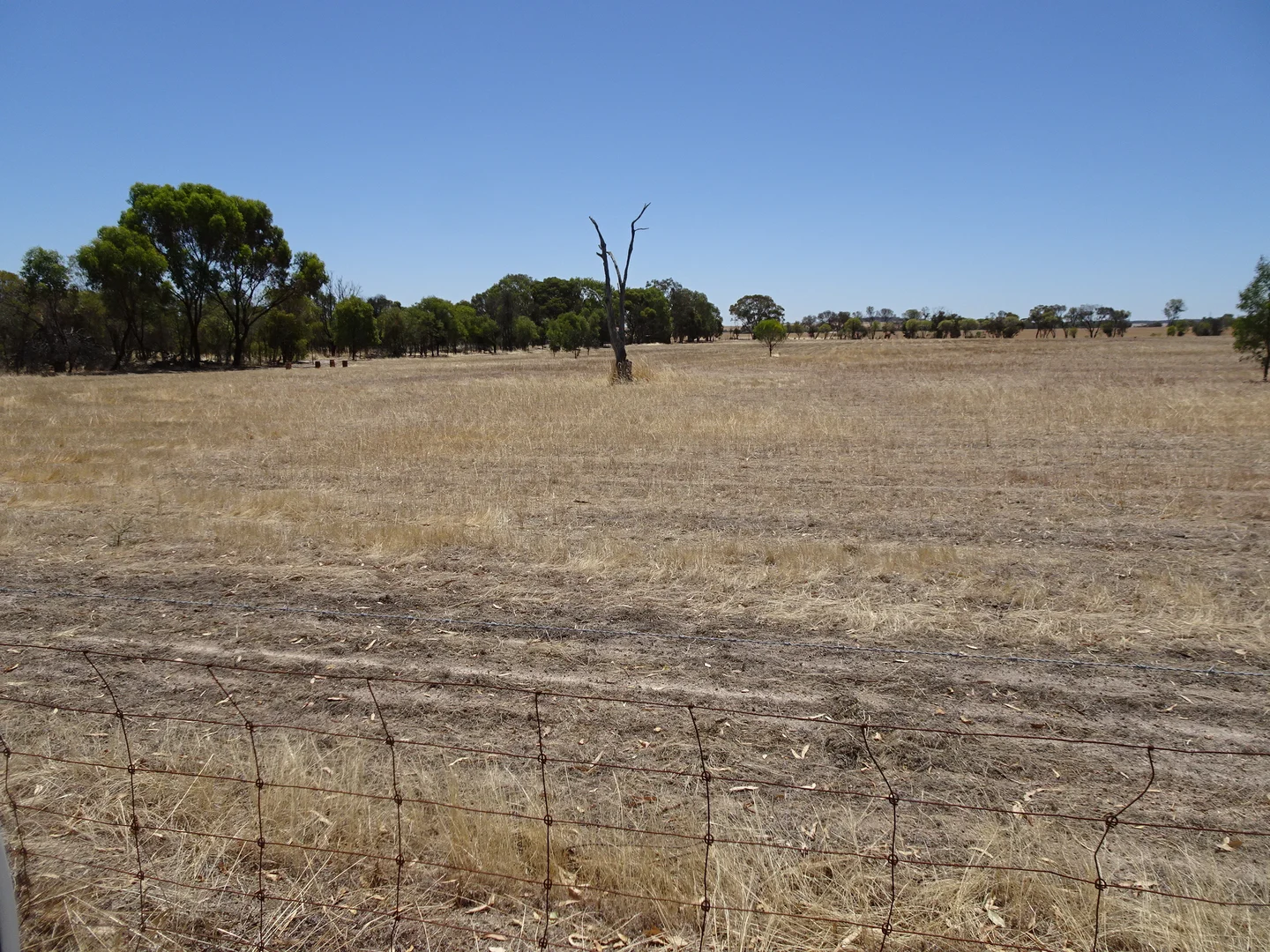 Additional image 9 of 5 Realm Street, Pingelly WA 6308