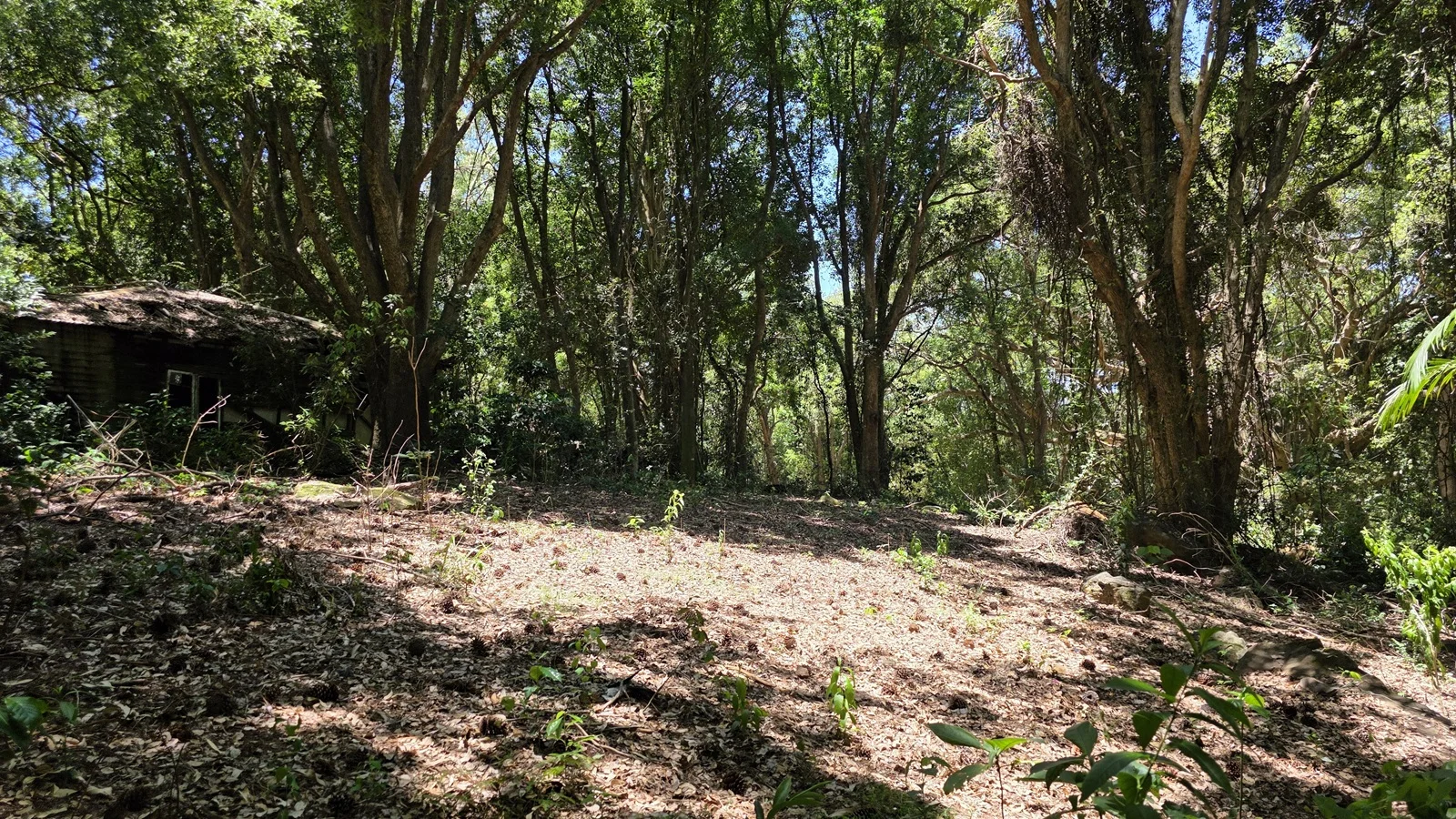 Image 10