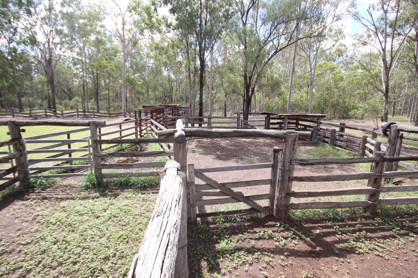 'Greentree' Mundubbera-Durong Rd, Mundubbera QLD 4626, Image 2