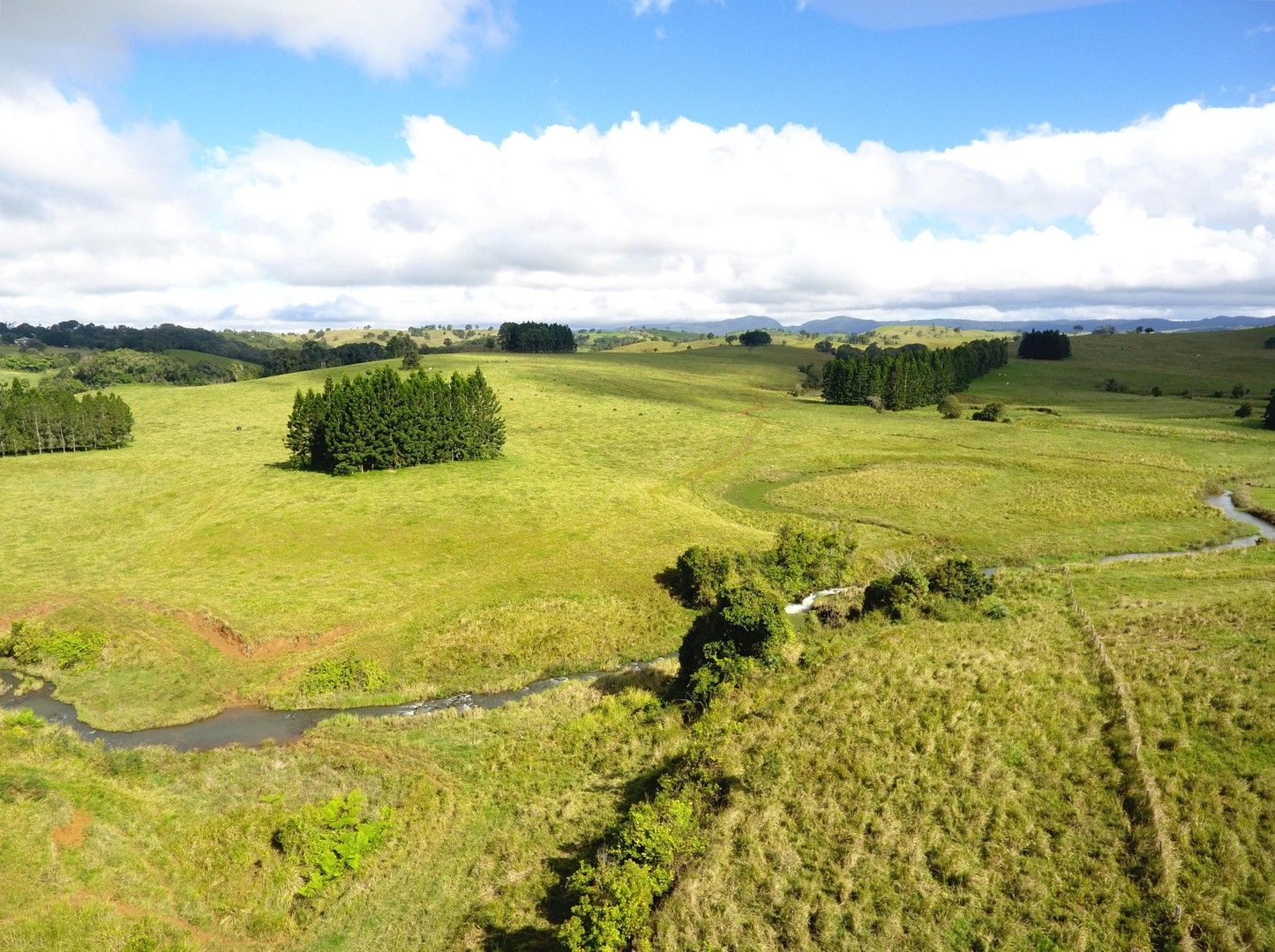 Tarzali QLD 4885 Specialist Farm for Sale Domain