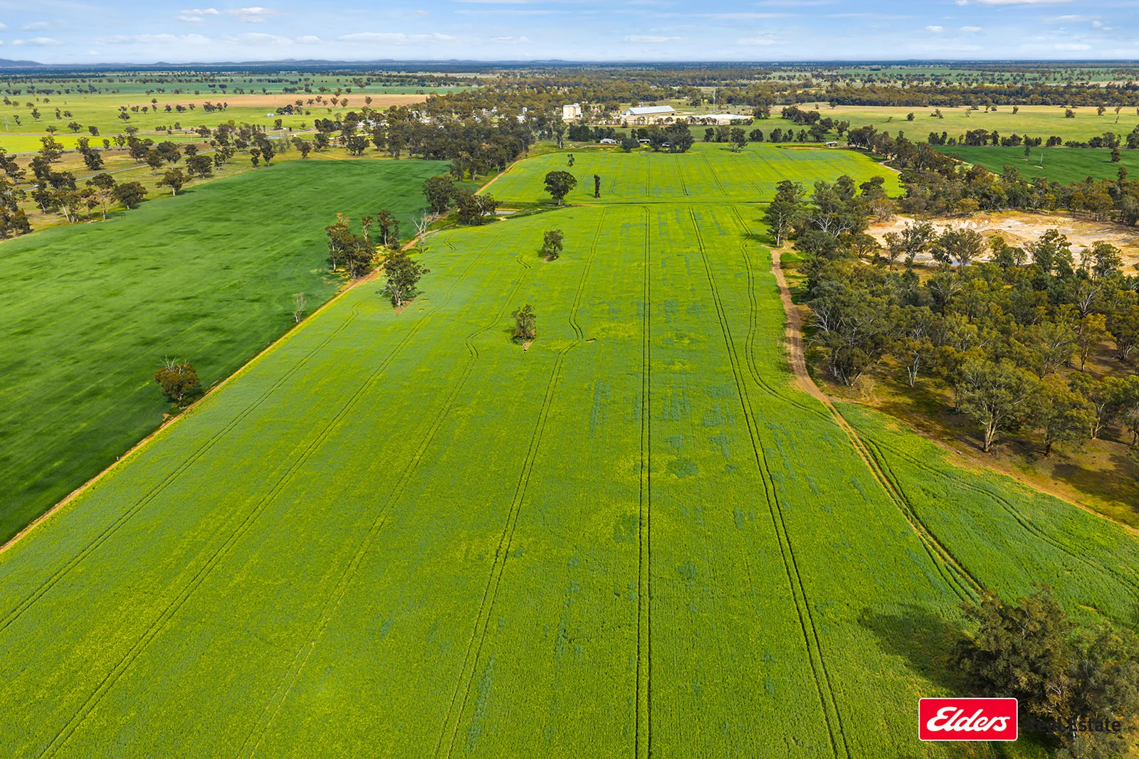 Additional image 4 of 223 Morans Road, Bribbaree NSW 2594