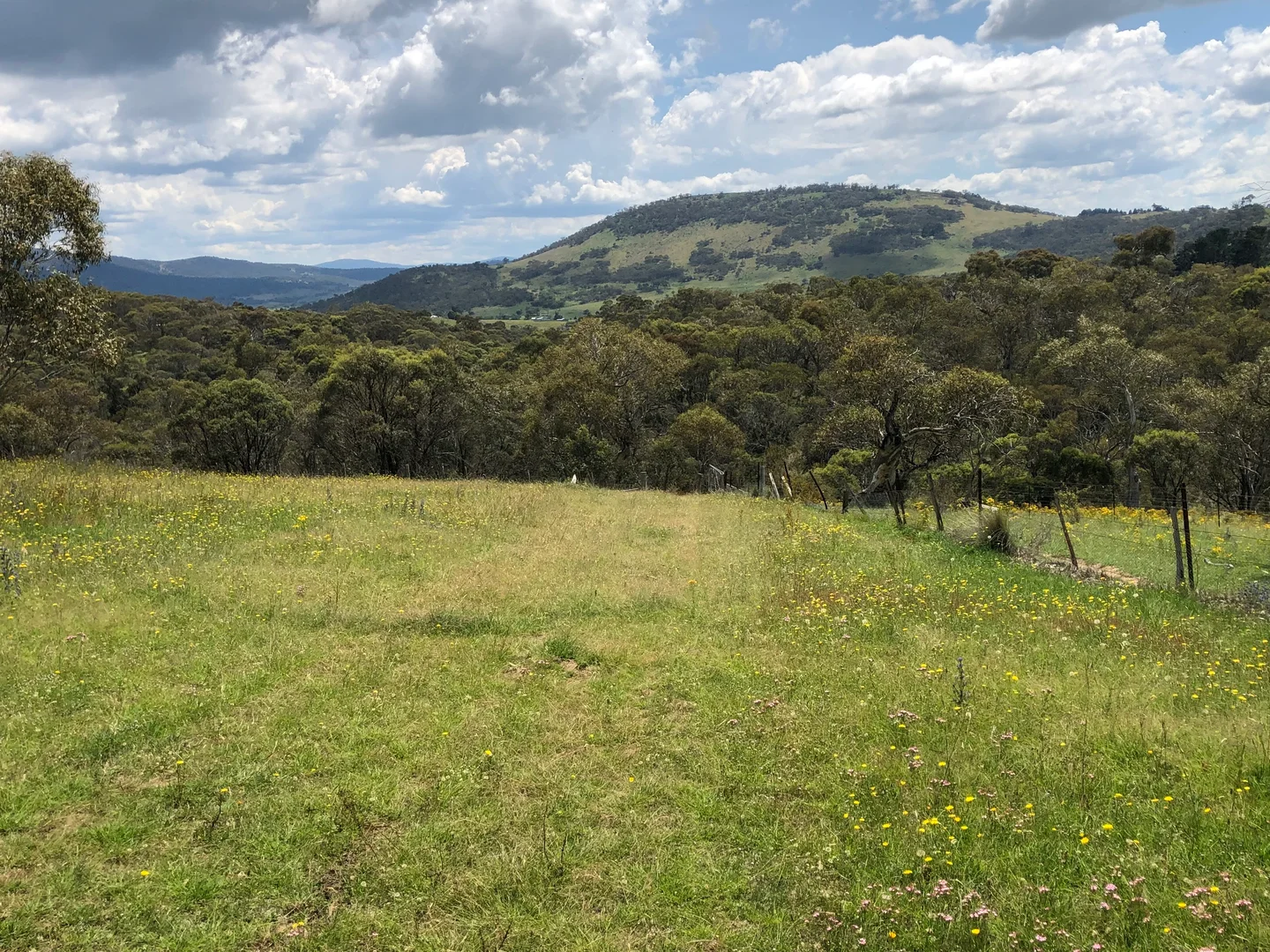 Moonbah NSW 2627 photo 4