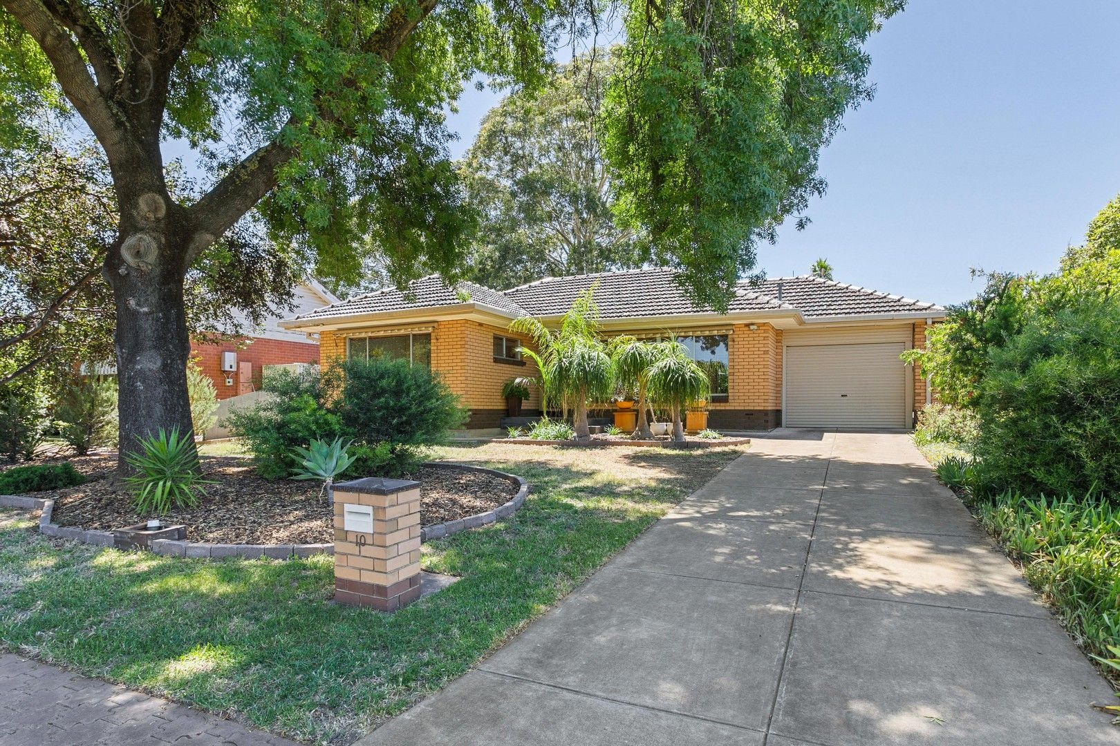 10 Albany Terrace, Valley View SA 5093, Image 0