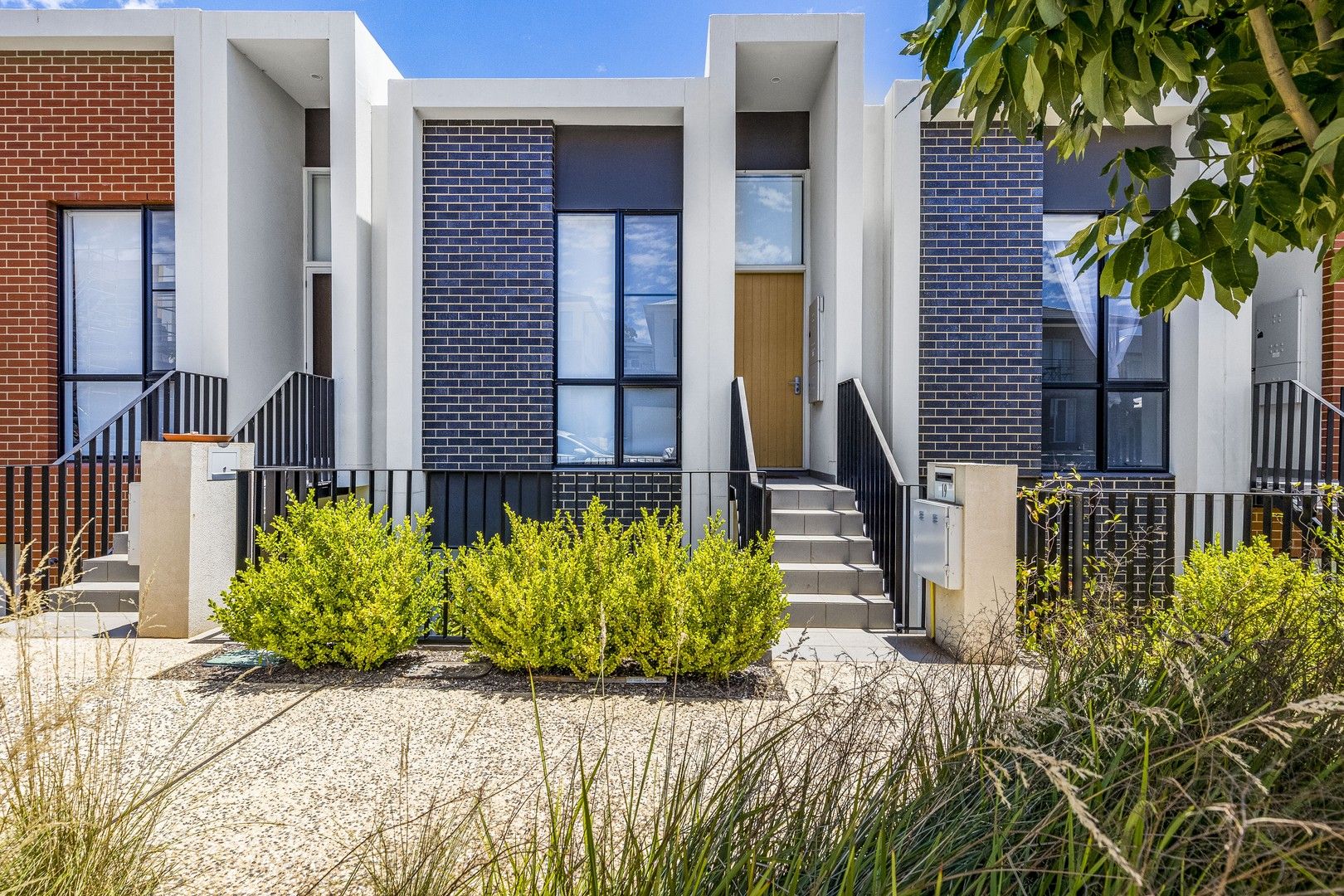 19 Abercrombie Avenue, Woodforde SA 5072 Townhouse For Rent Domain