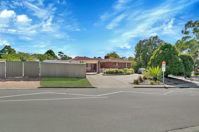Picture of 12 McEwin Avenue, REDWOOD PARK SA 5097