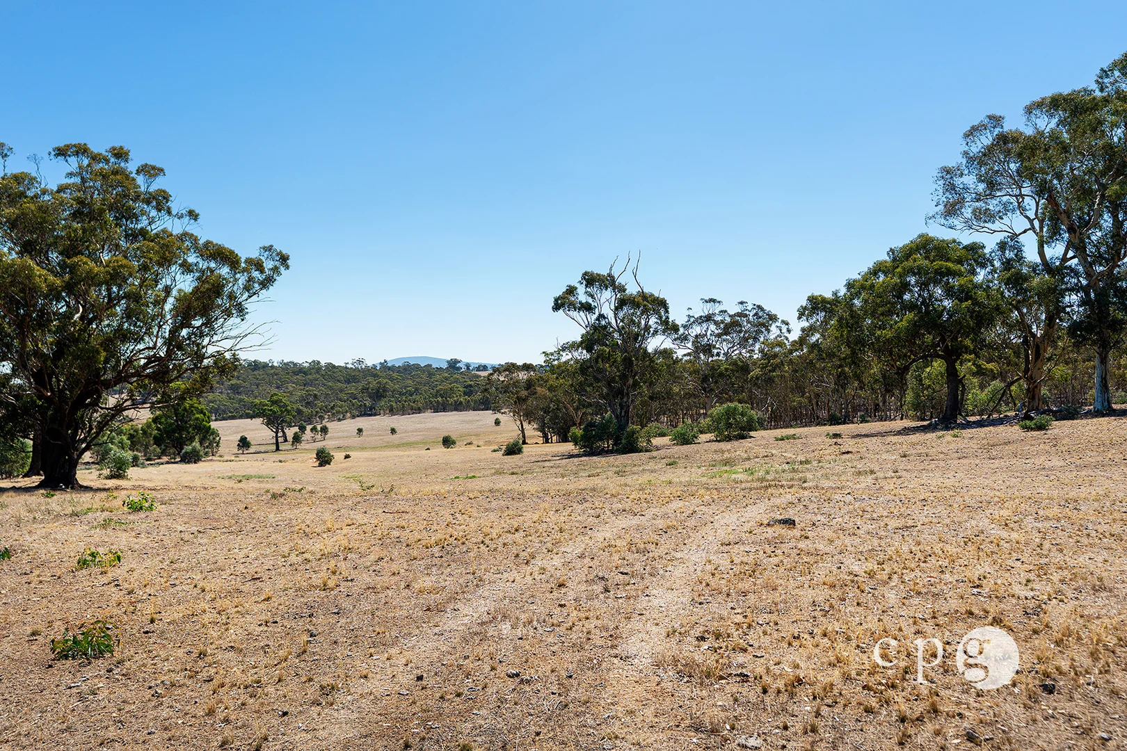 Image 29