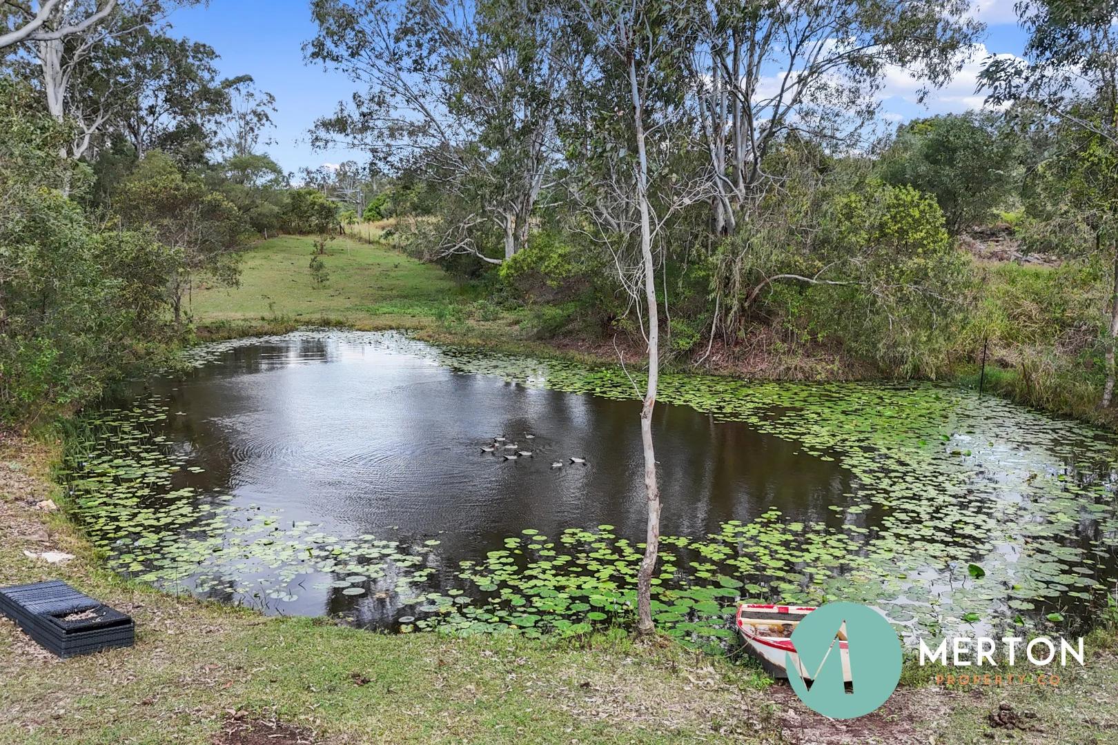 Image 12