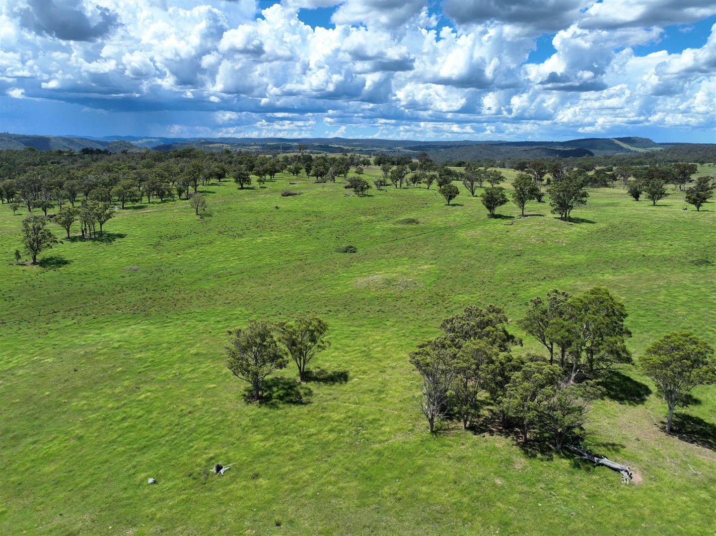 Lot 120, 254 Losebys Road Big Hill/, Marulan NSW 2579, Image 2