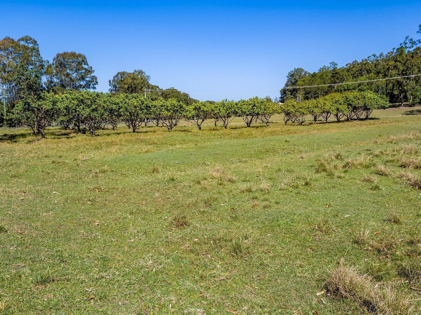 Proposed Lot 3/326 Valdora Road, Valdora QLD 4561, Image 2