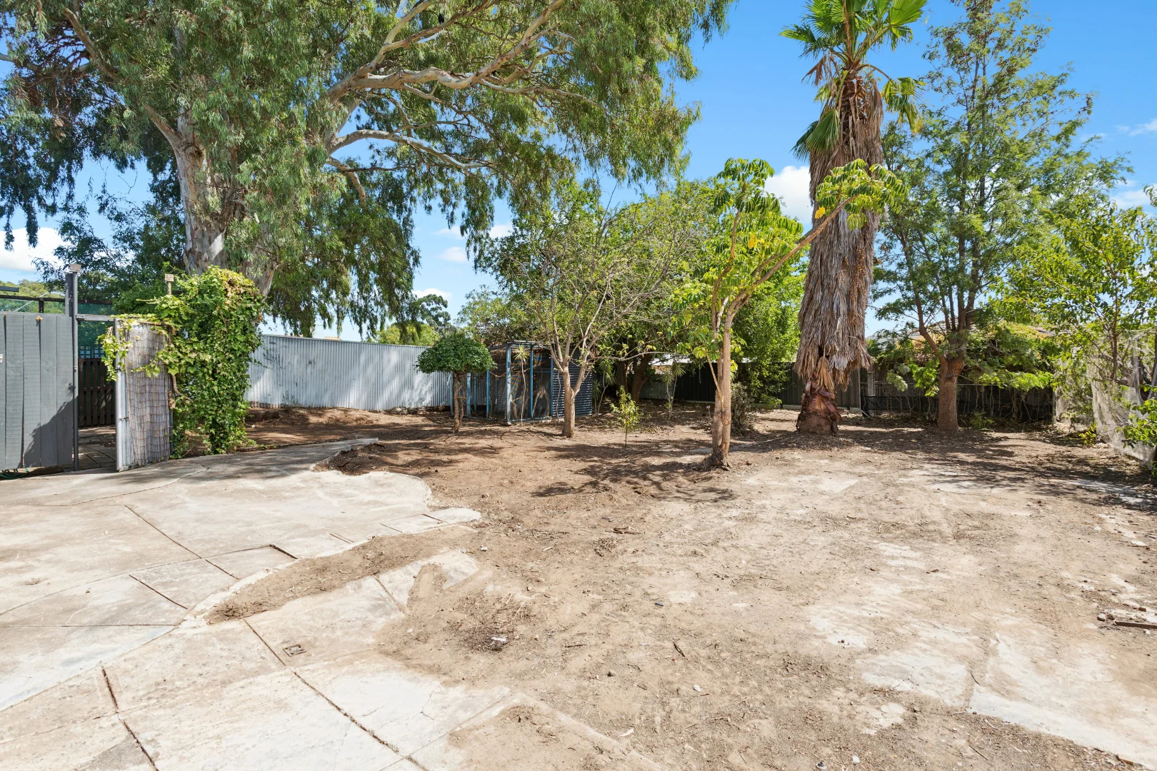 Image 18