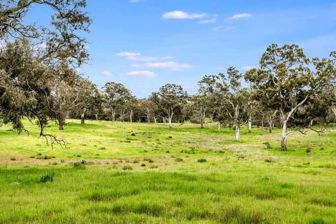 Picture of Lot 64 Ironstone Range Road, NAIRNE SA 5252