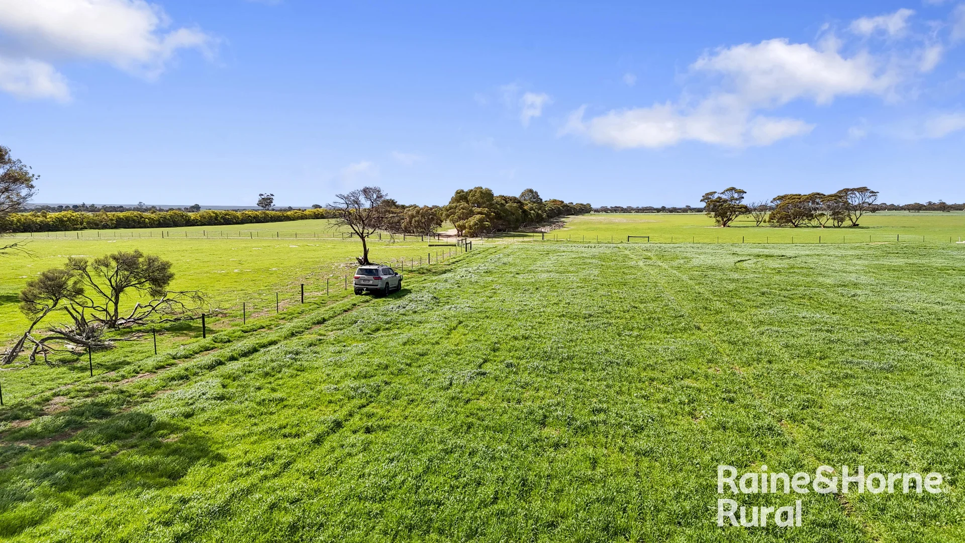 Additional image 5 of 714 Buccleuch South Road, Yumali SA 5261