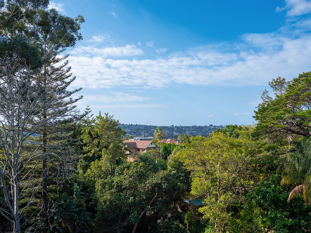 6/80 Drumalbyn Road, Bellevue Hill NSW 2023, Image 0