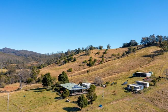 Picture of 1473 Mooral Creek Road, MOORAL CREEK NSW 2429