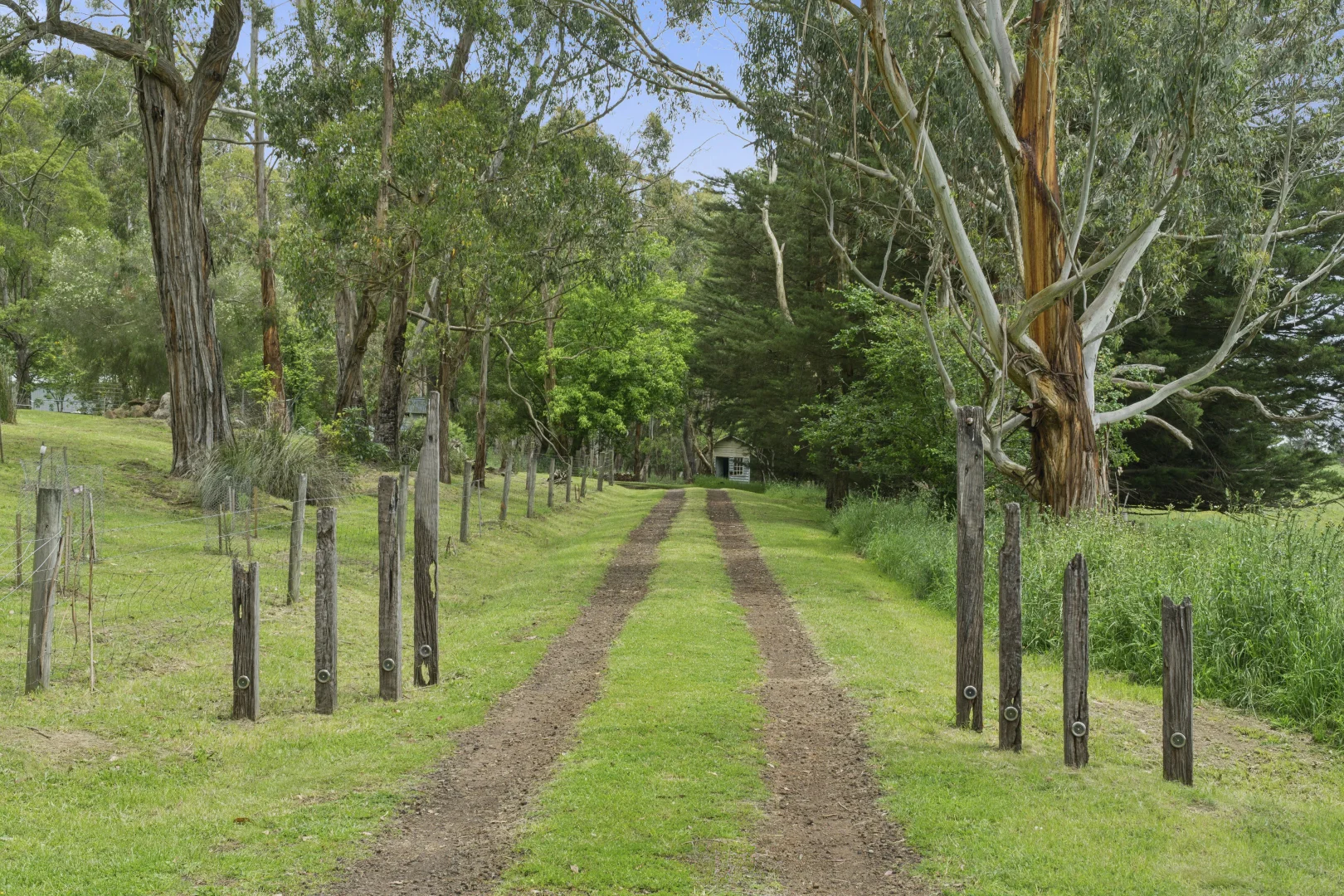 Additional image 13 of 340 Old Cobden-Port Campbell Road, Jancourt VIC 3266