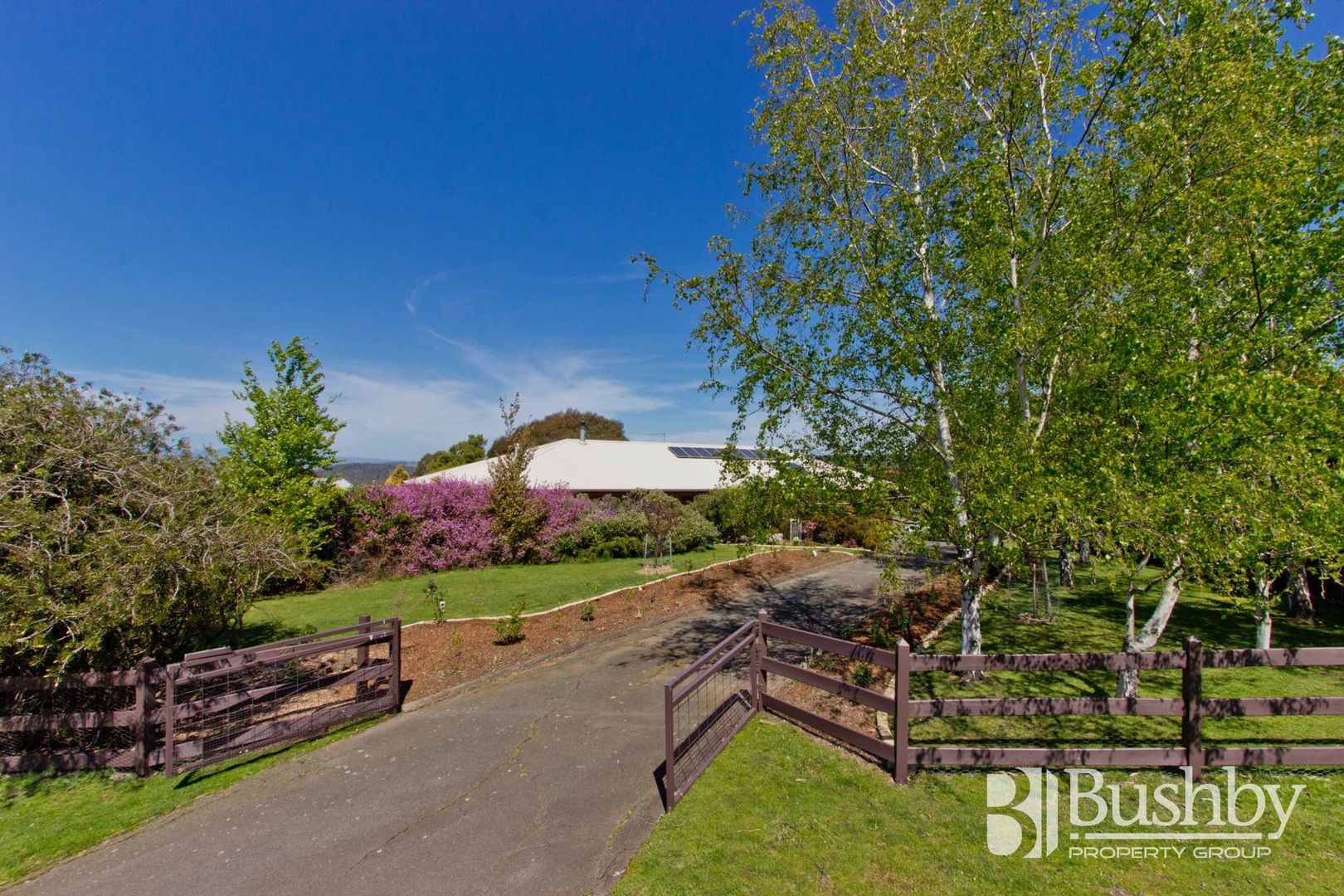 39 Atkinsons Road, Grindelwald TAS 7277, Image 1