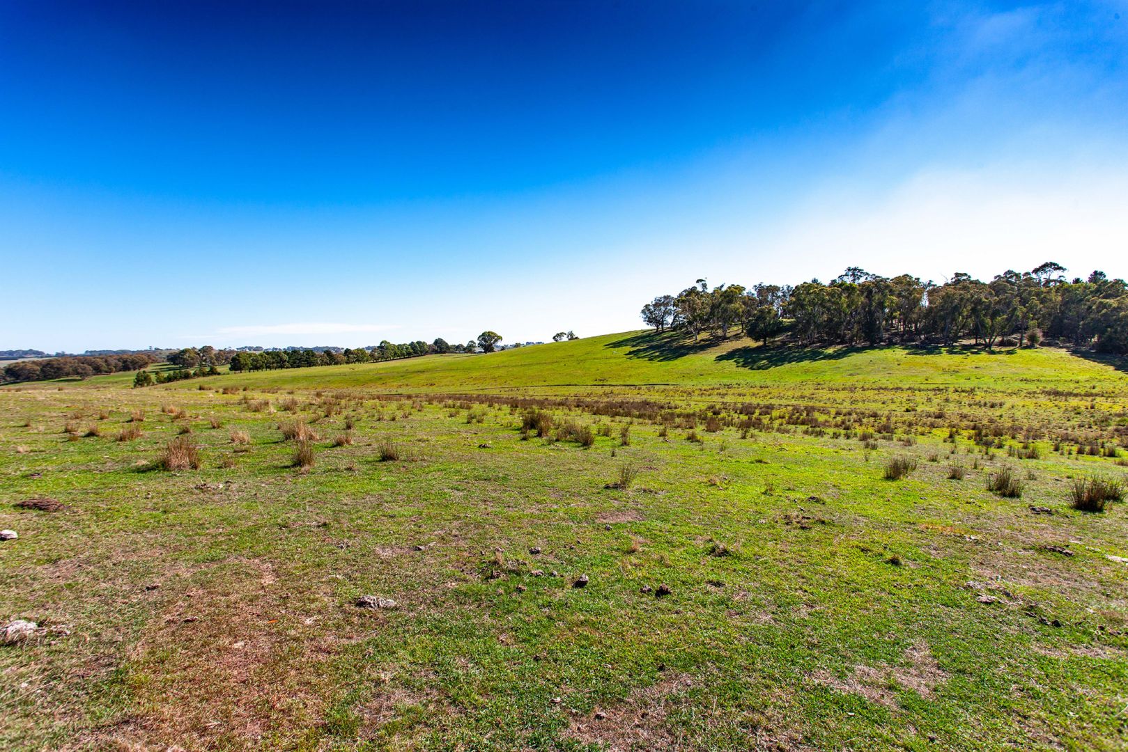 Davis Lane, Grabben Gullen NSW 2583, Image 2