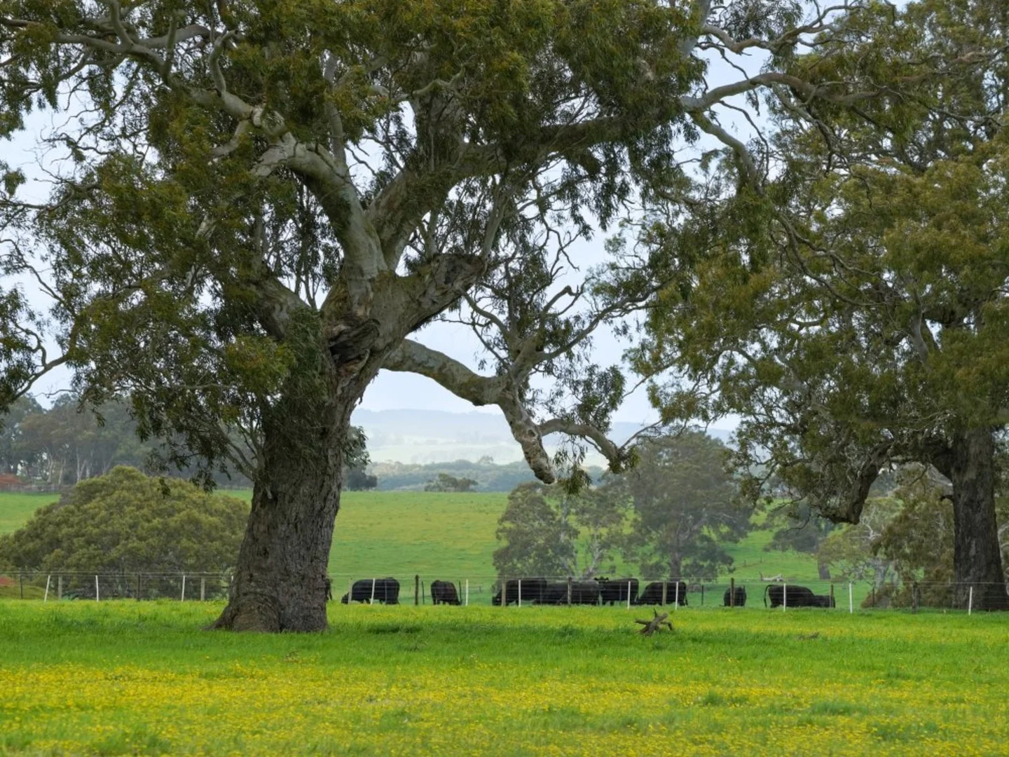 Additional image 17 of 66 Casterton-Edenhope Road, Casterton VIC 3311