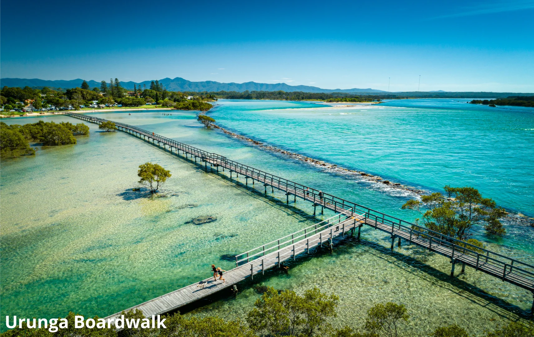 Additional image 15 of 242 Summervilles Road, Bellingen NSW 2454