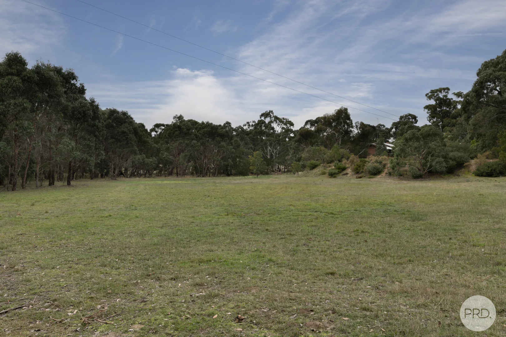 Image 19