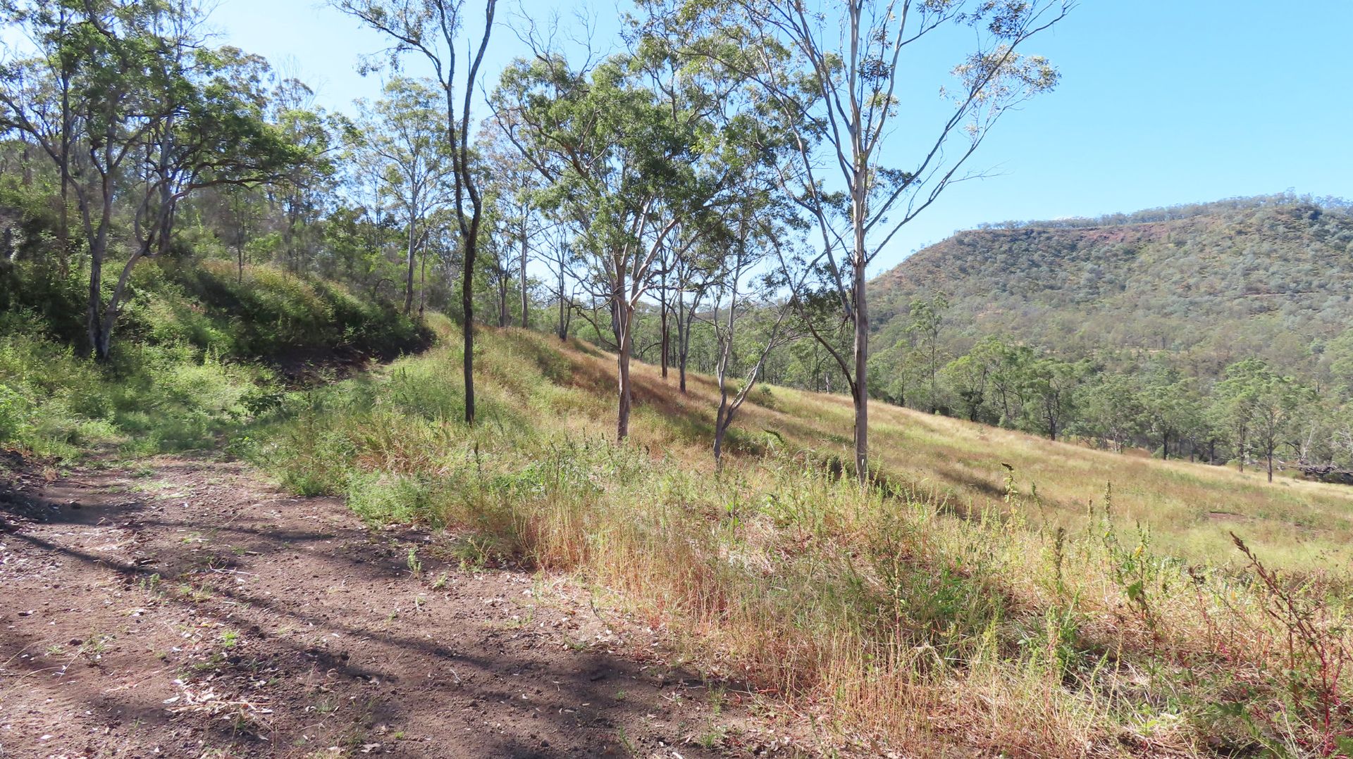 Lot 2 Davis Road, West Haldon QLD 4359, Image 2