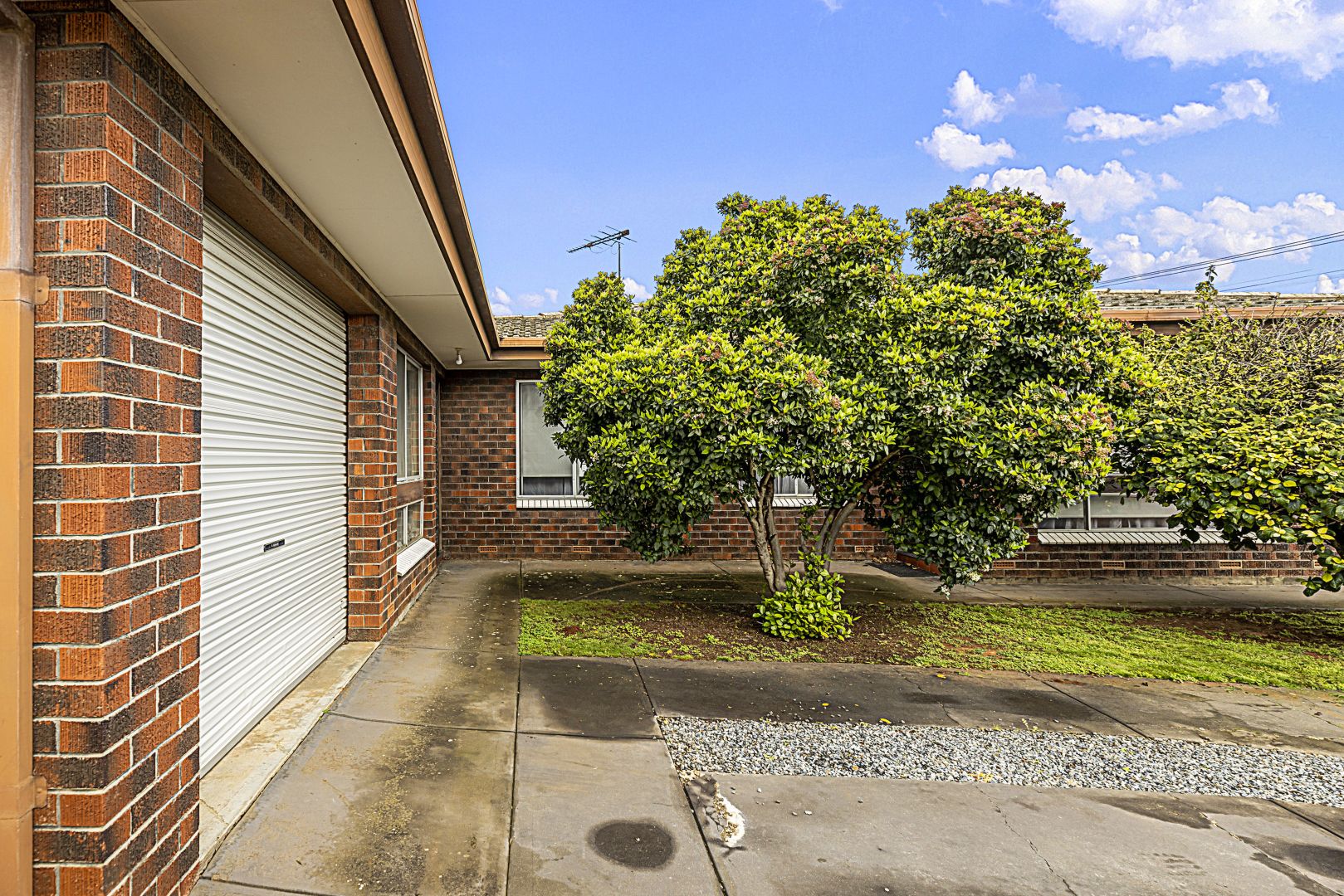 554 Lower North East Road, Campbelltown SA 5074, Image 2