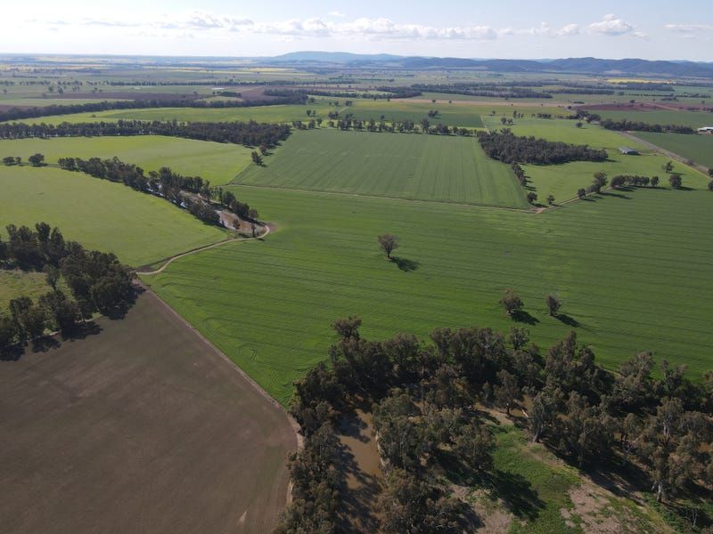 564 Paytens Bridge Road, Eugowra NSW 2806 House for Sale Domain