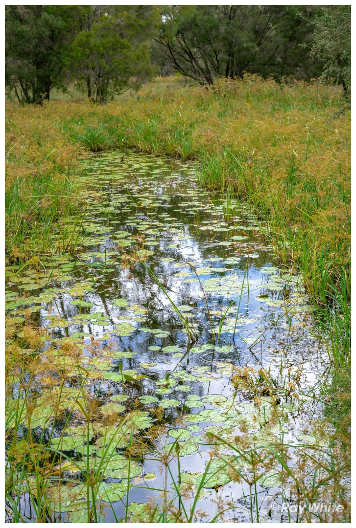 Image 37
