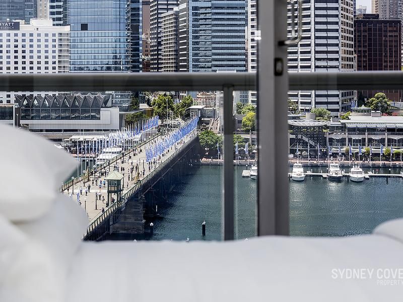 50 Murray Street, Pyrmont NSW 2009 Apartment For Rent Domain